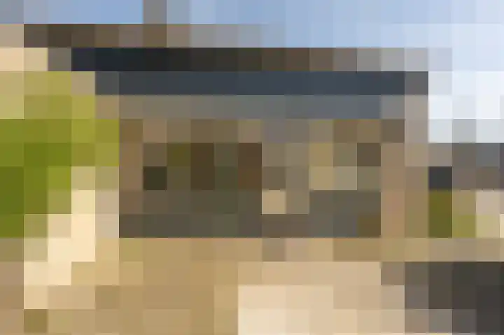 Cabbeweide 4 Westmaas thumbnail 24