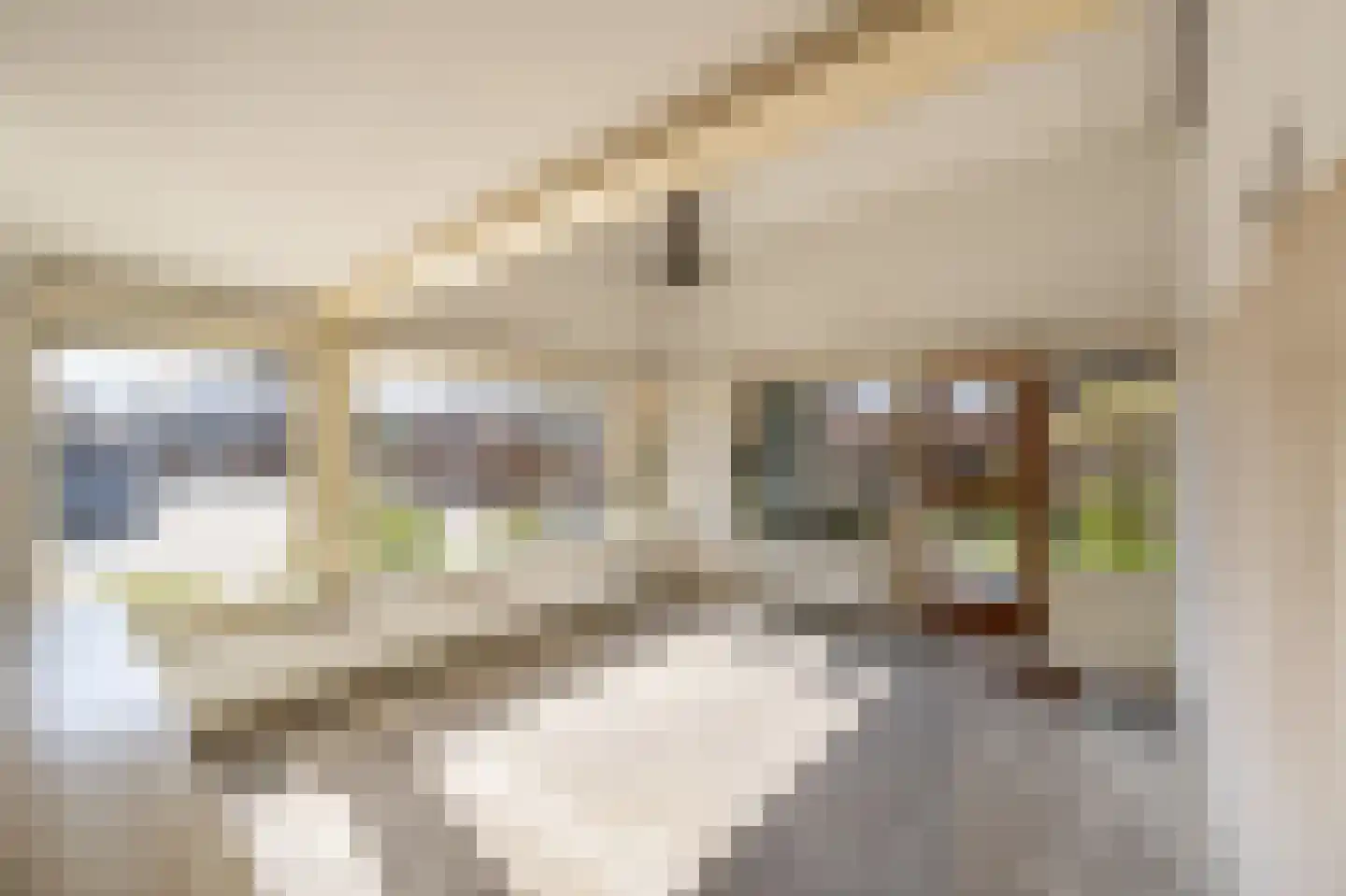 Cabbeweide 4 Westmaas thumbnail 5