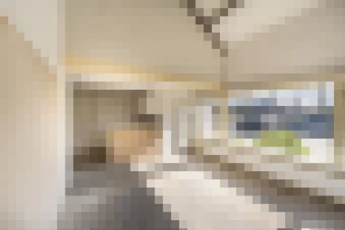 Cabbeweide 4 Westmaas thumbnail 6