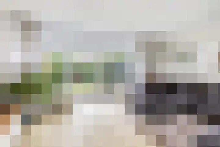 Cabbeweide 74 Westmaas thumbnail 11