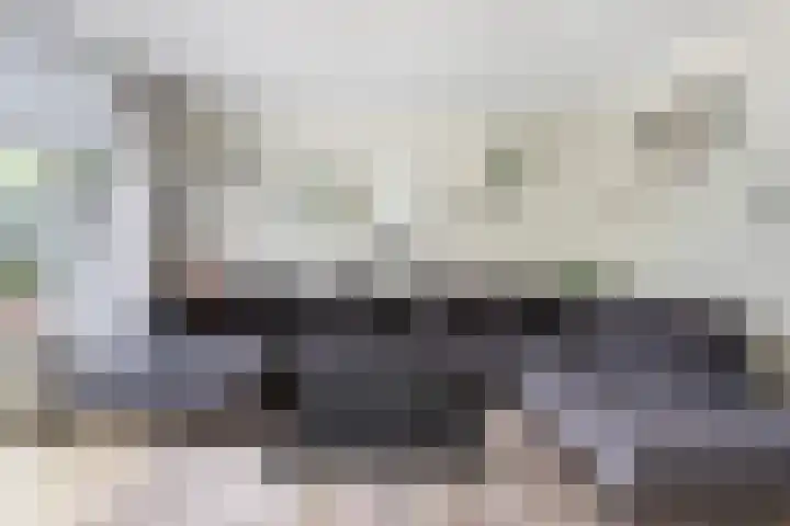 Cabbeweide 74 Westmaas thumbnail 12