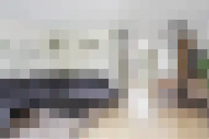 Cabbeweide 74 Westmaas thumbnail 14