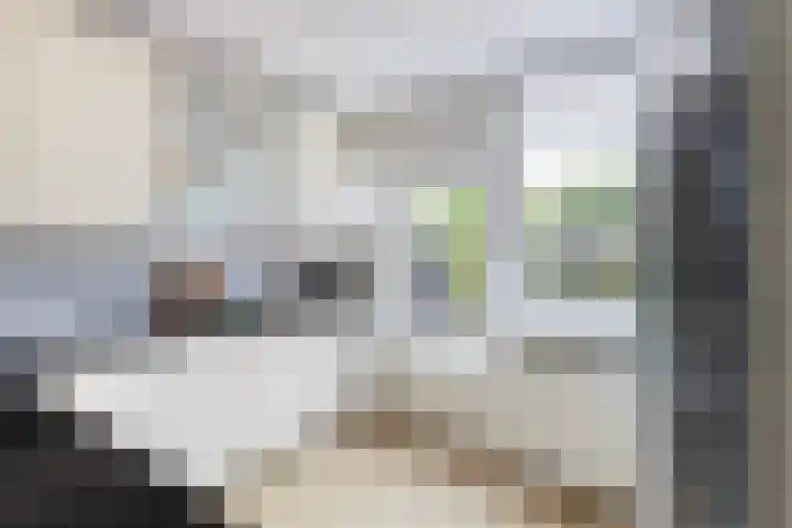 Cabbeweide 74 Westmaas thumbnail 17