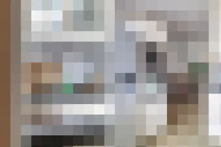 Cabbeweide 74 Westmaas thumbnail 20