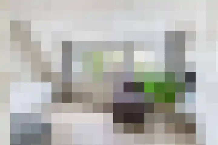 Cabbeweide 74 Westmaas thumbnail 28