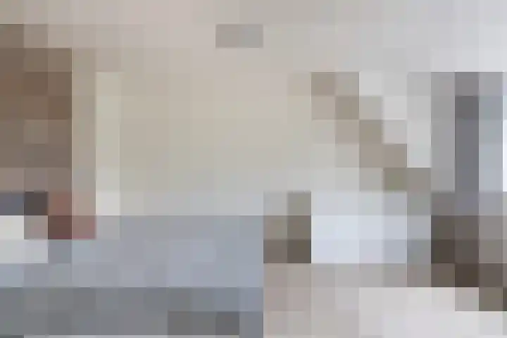 Cabbeweide 74 Westmaas thumbnail 29