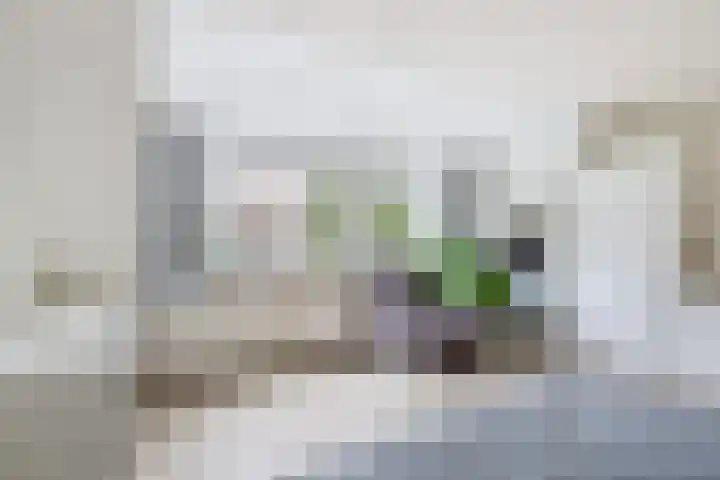 Cabbeweide 74 Westmaas thumbnail 31