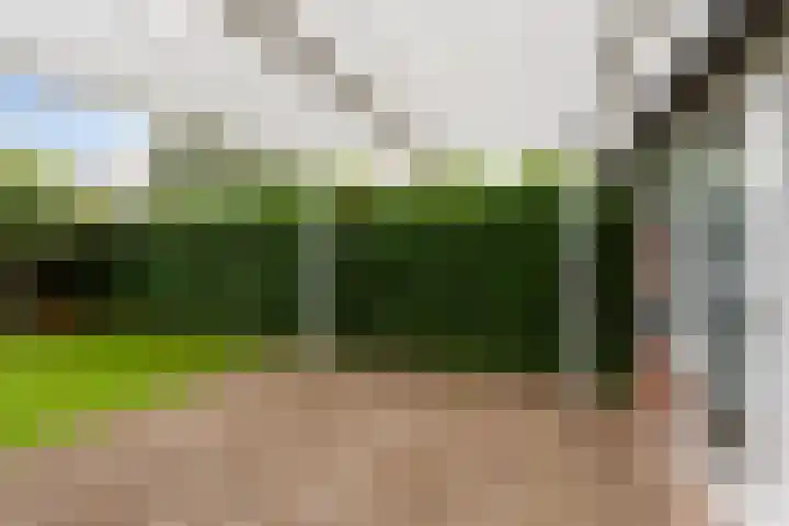 Cabbeweide 74 Westmaas thumbnail 35