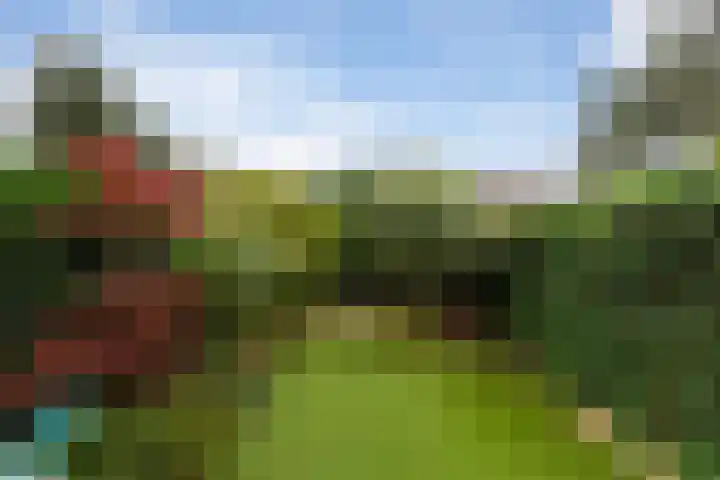 Cabbeweide 74 Westmaas thumbnail 37