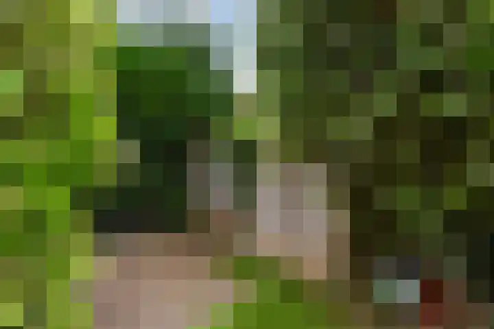 Cabbeweide 74 Westmaas thumbnail 38
