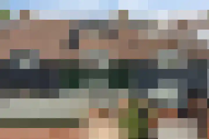 Cabbeweide 74 Westmaas thumbnail 4