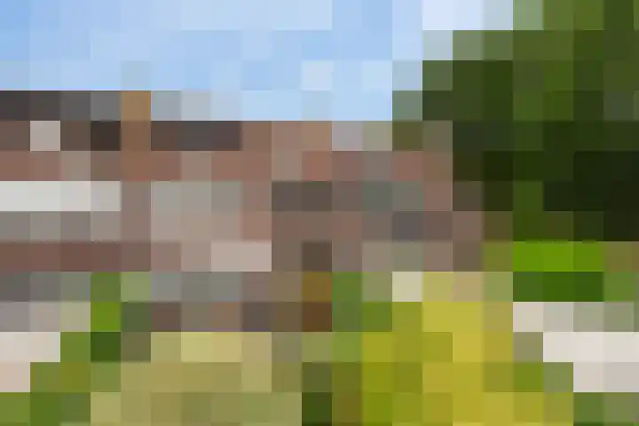 Cabbeweide 74 Westmaas thumbnail 42