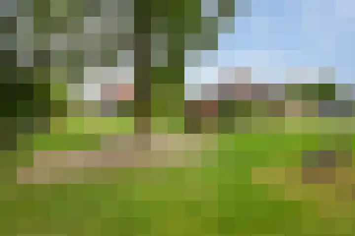 Cabbeweide 74 Westmaas thumbnail 43