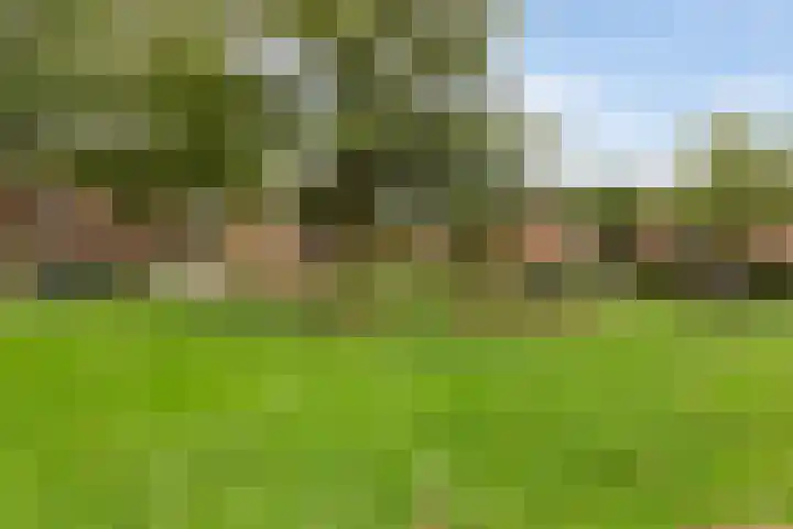 Cabbeweide 74 Westmaas thumbnail 44