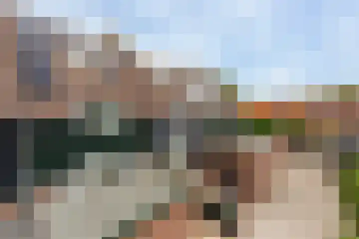 Cabbeweide 74 Westmaas thumbnail 5