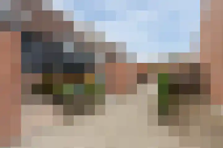 Cabbeweide 74 Westmaas thumbnail 6