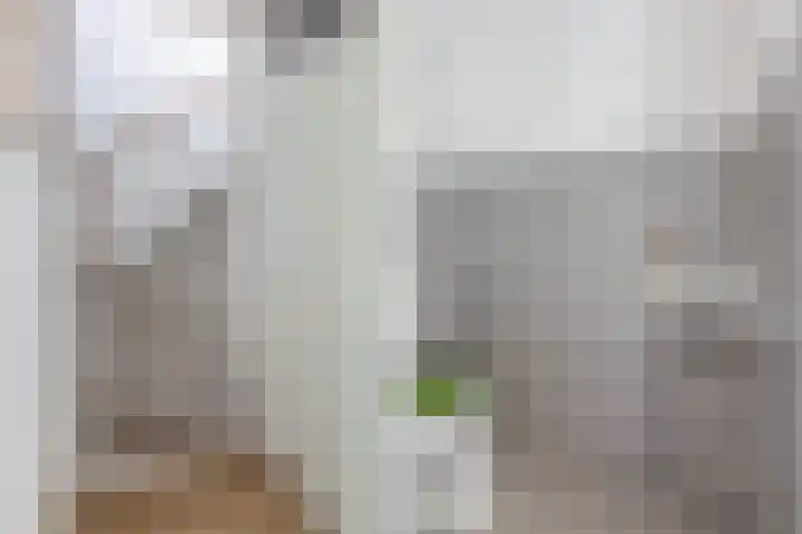 Cabbeweide 74 Westmaas thumbnail 8