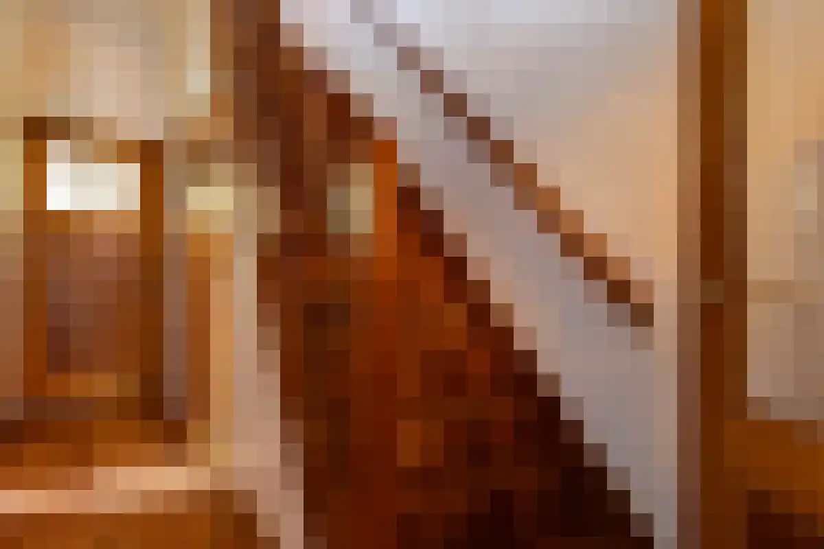 Cabeljaustraat 1 Alkmaar thumbnail 18