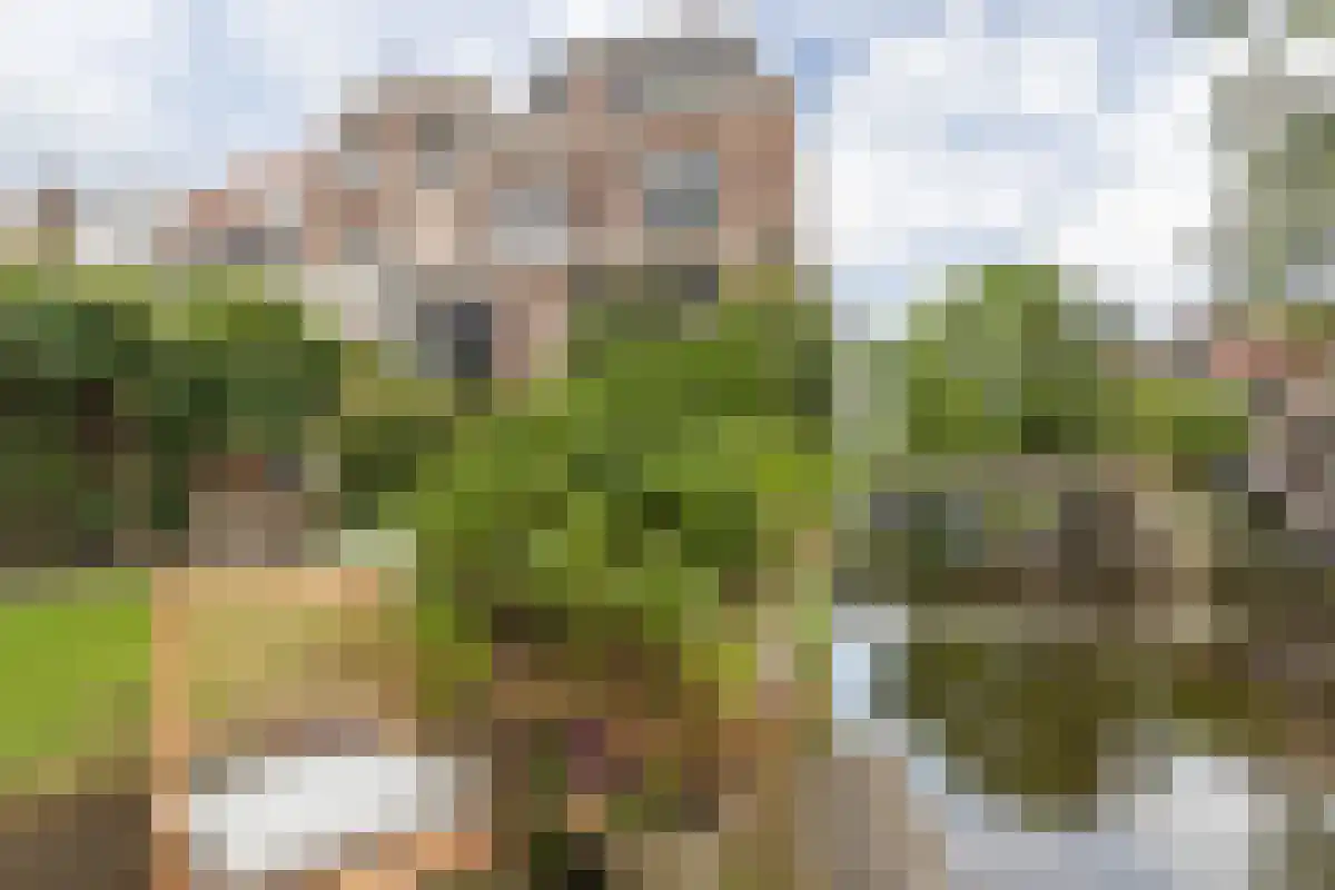Cabeljaustraat 1 Alkmaar thumbnail 23