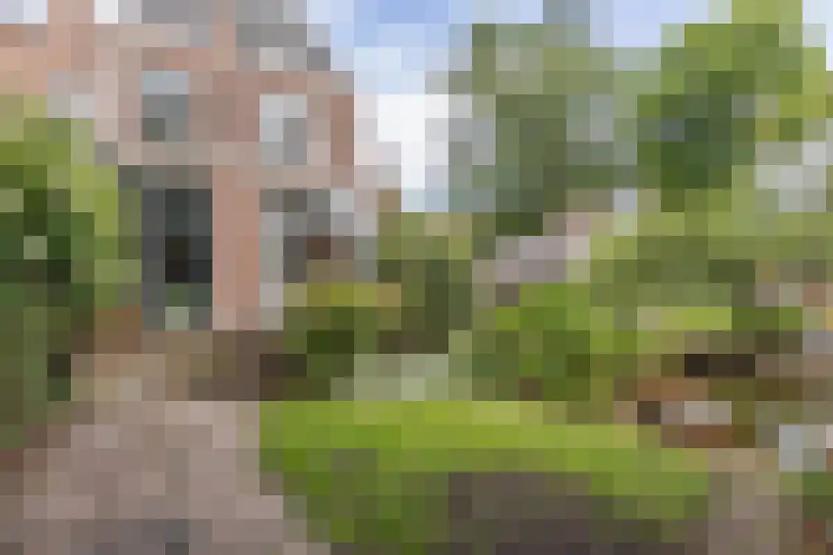Cabeljaustraat 1 Alkmaar thumbnail 26