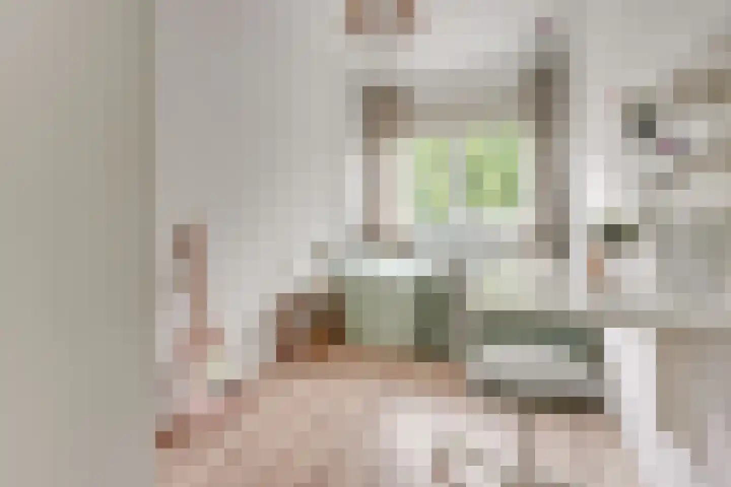 Cabotolaan 9 Utrecht thumbnail 35