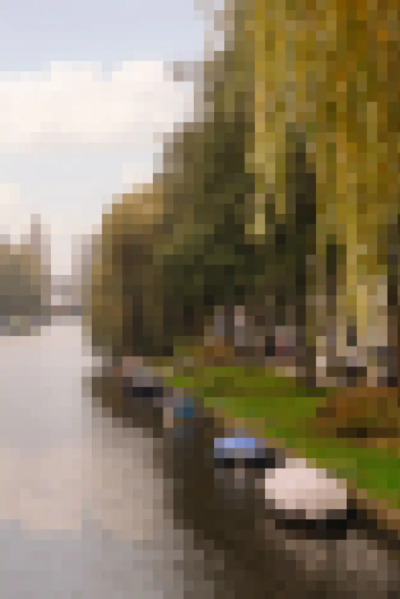Cabotstraat 25 1 Amsterdam thumbnail 32
