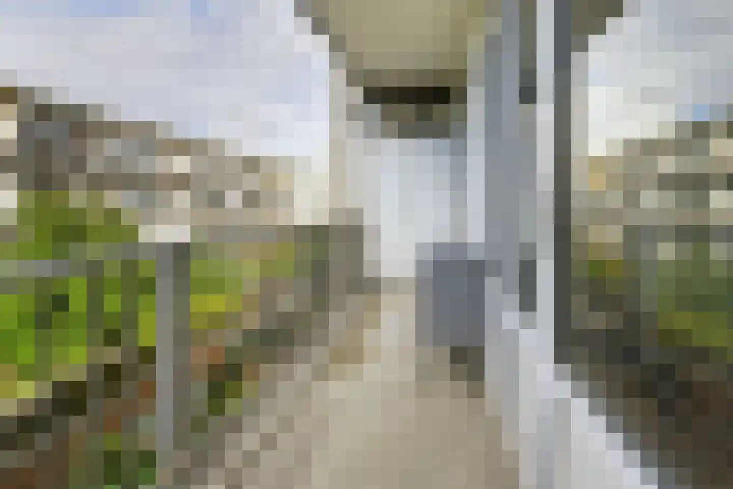 Cabralstraat 24 2 Amsterdam thumbnail 26