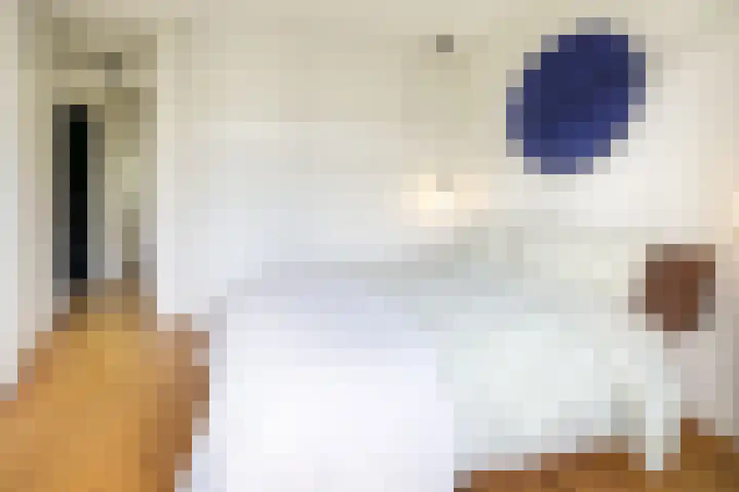 Cabralstraat 24 2 Amsterdam thumbnail 27
