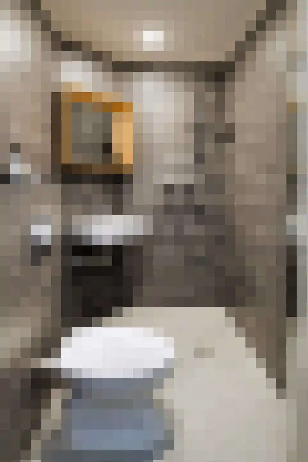 Cabralstraat 24 2 Amsterdam thumbnail 28