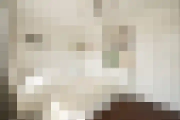 Cabralstraat 25 3 Amsterdam thumbnail 15