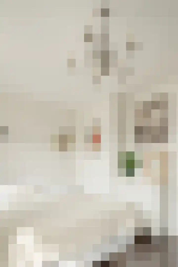 Cabralstraat 25 3 Amsterdam thumbnail 16