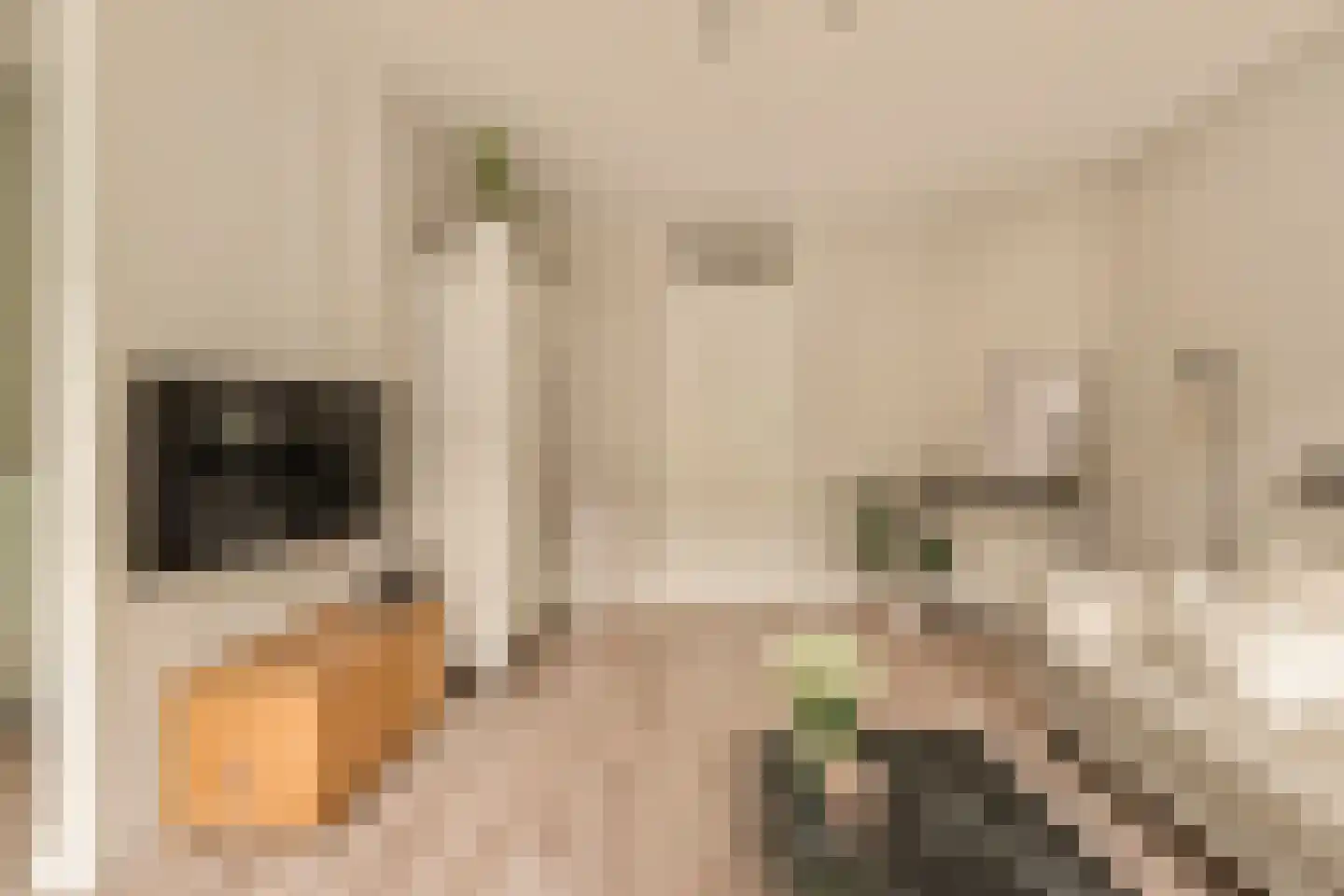 Cabralstraat 29 1 Amsterdam thumbnail 11