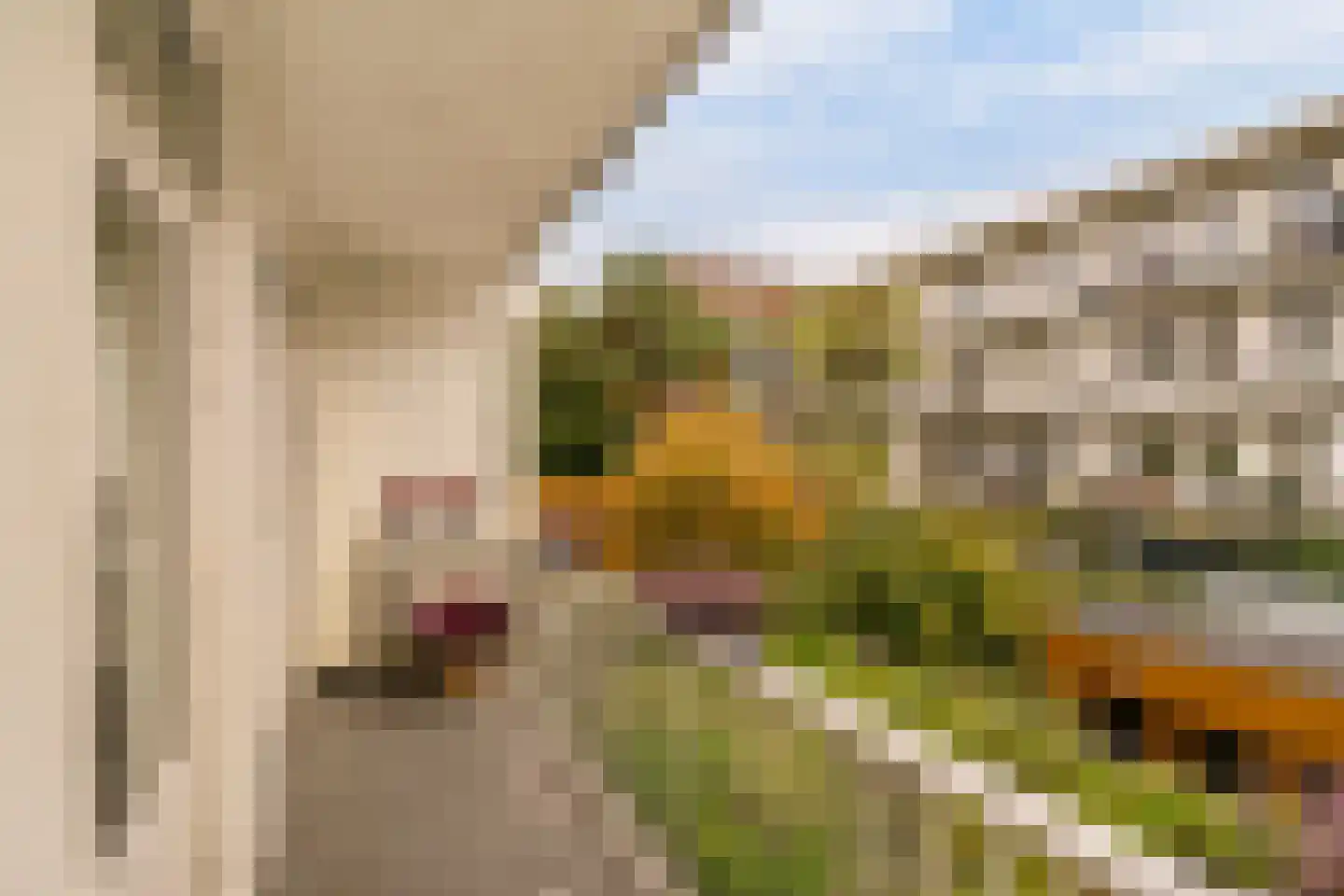 Cabralstraat 29 1 Amsterdam thumbnail 18