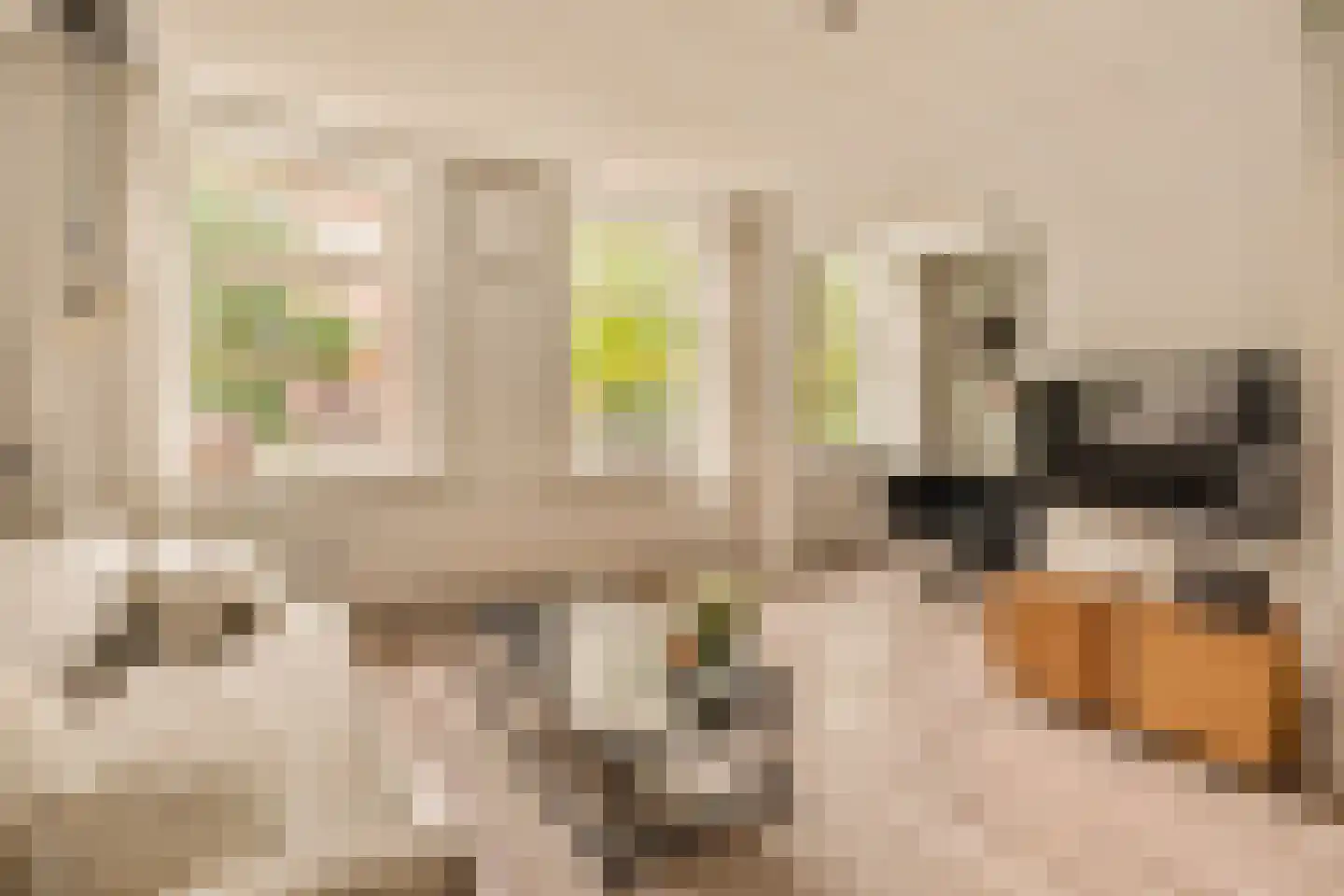 Cabralstraat 29 1 Amsterdam thumbnail 6