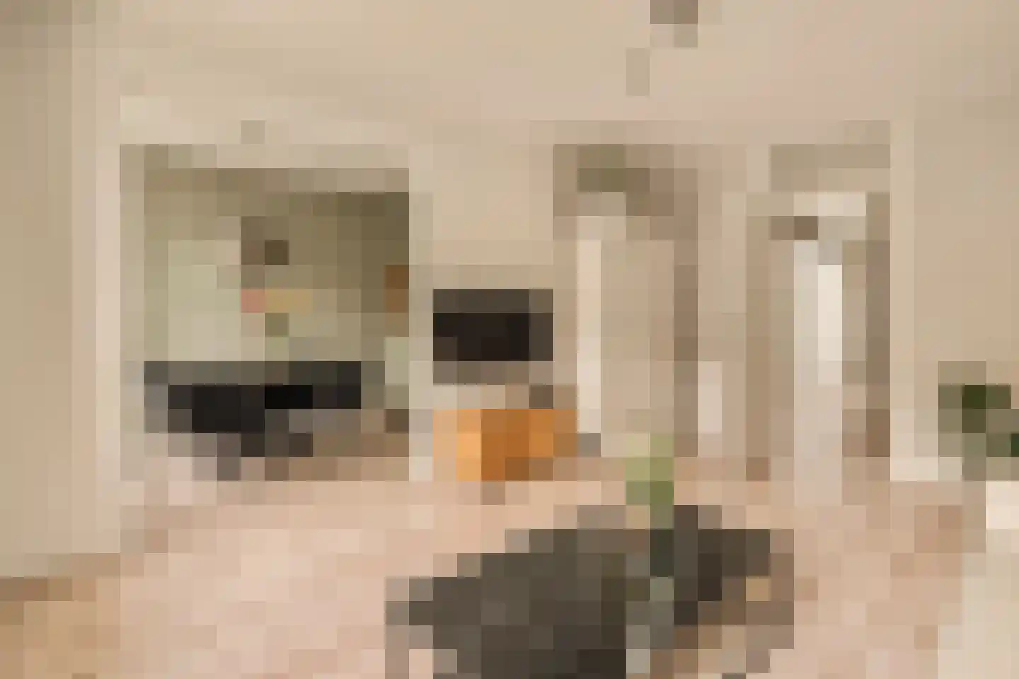 Cabralstraat 29 1 Amsterdam thumbnail 8