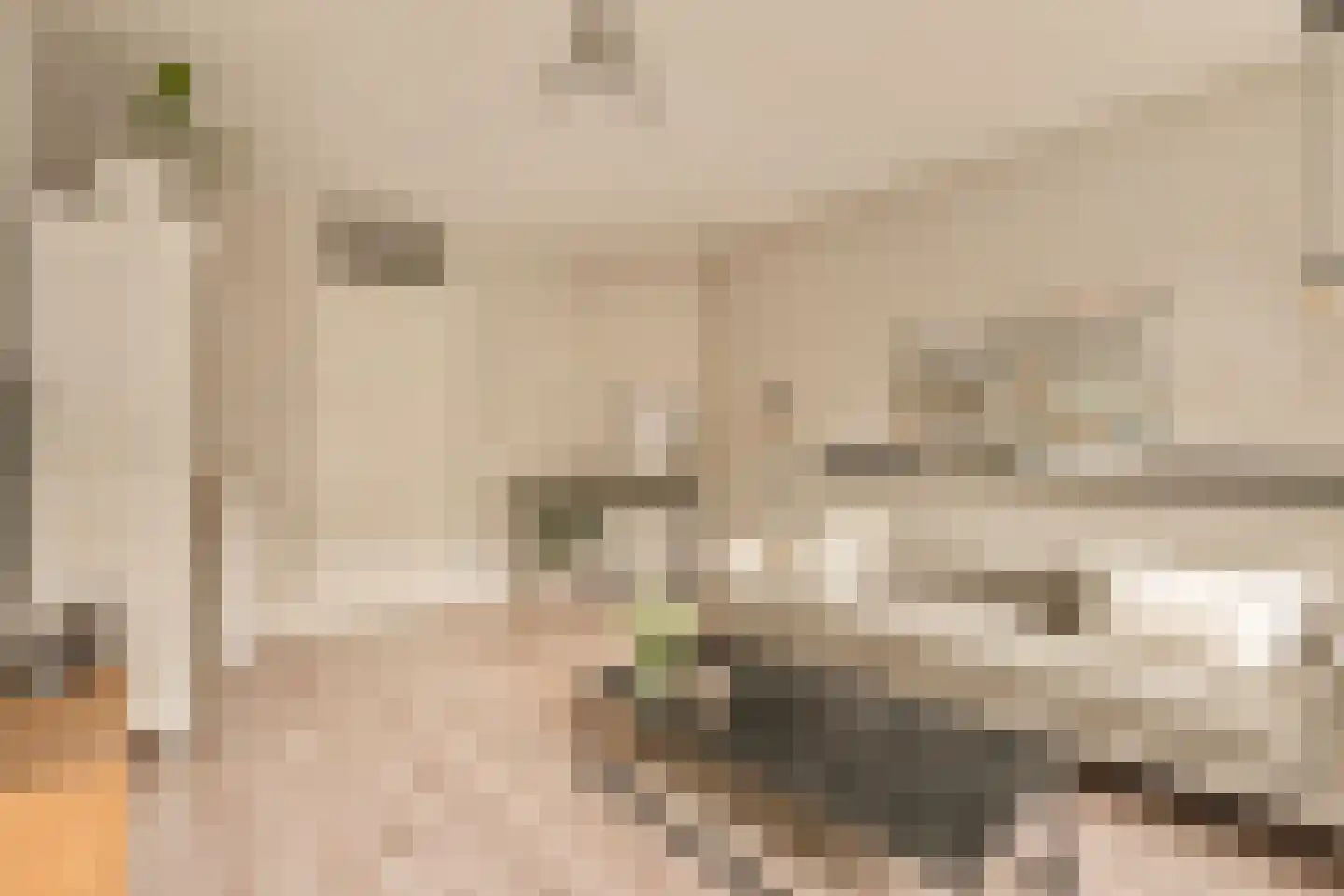 Cabralstraat 29 1 Amsterdam thumbnail 9