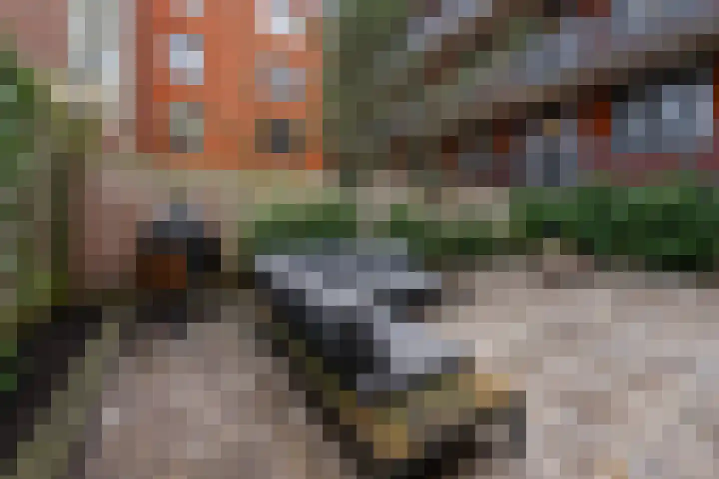 Cabralstraat 3 A Amsterdam thumbnail 17