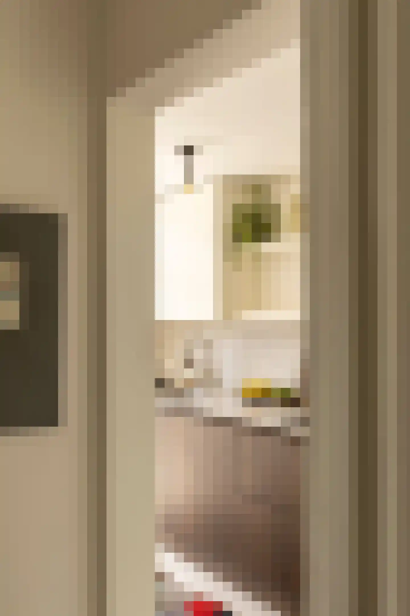 Cabralstraat 35 2 Amsterdam thumbnail 14