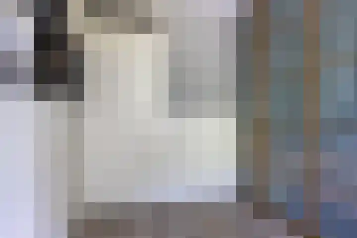 Cacaomolen 10 Koog aan de Zaan thumbnail 16