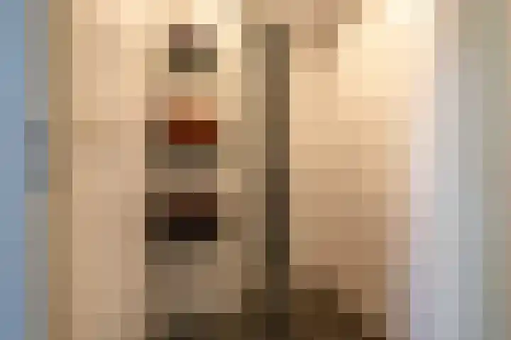 Cacaomolen 10 Koog aan de Zaan thumbnail 21