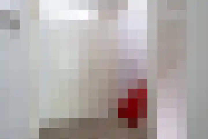 Cacaomolen 10 Koog aan de Zaan thumbnail 22