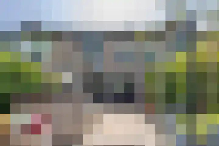 Cacaomolen 10 Koog aan de Zaan thumbnail 26
