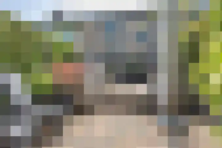 Cacaomolen 10 Koog aan de Zaan thumbnail 27