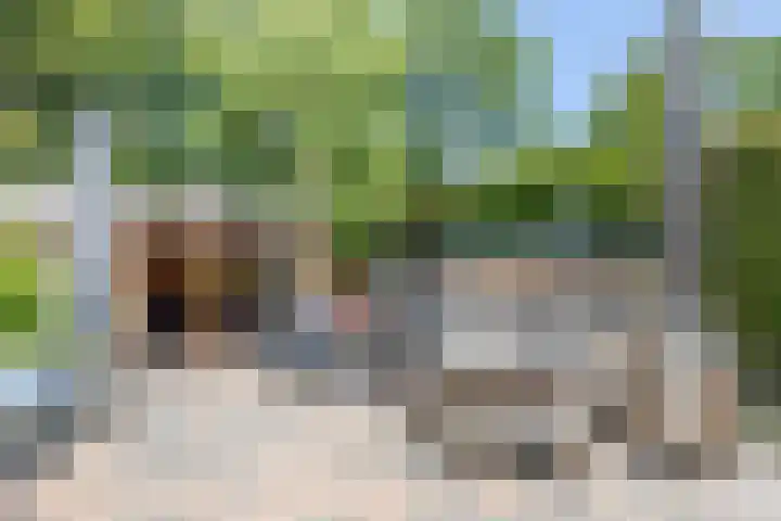 Cacaomolen 10 Koog aan de Zaan thumbnail 28