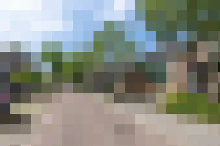 Cacaomolen 10 Koog aan de Zaan thumbnail 31
