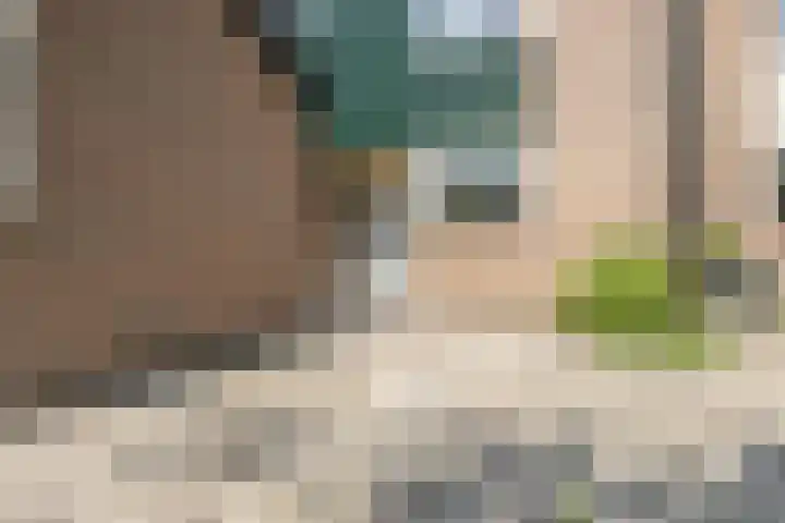Cacaomolen 10 Koog aan de Zaan thumbnail 32