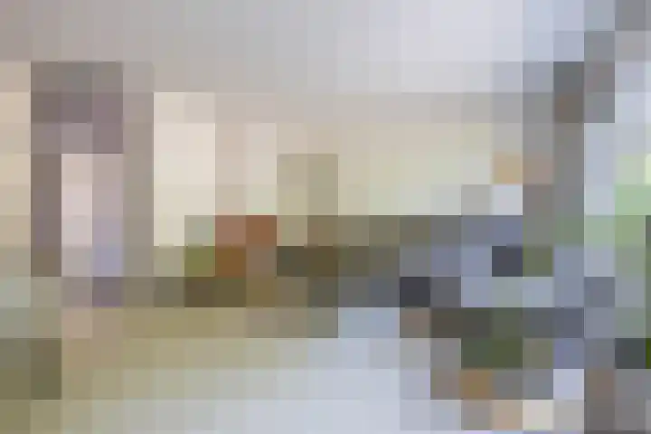 Cacaomolen 10 Koog aan de Zaan thumbnail 4