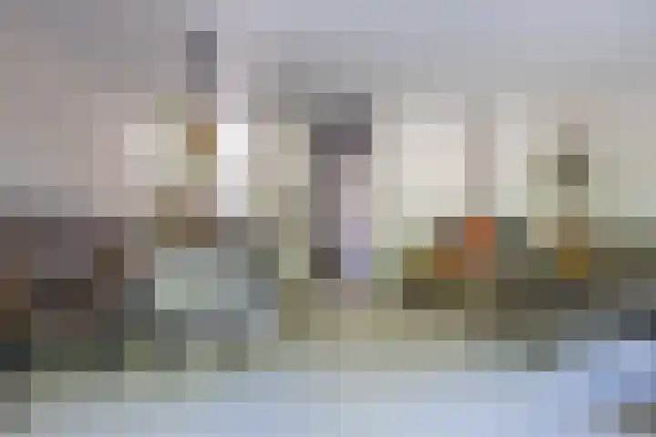 Cacaomolen 10 Koog aan de Zaan thumbnail 5