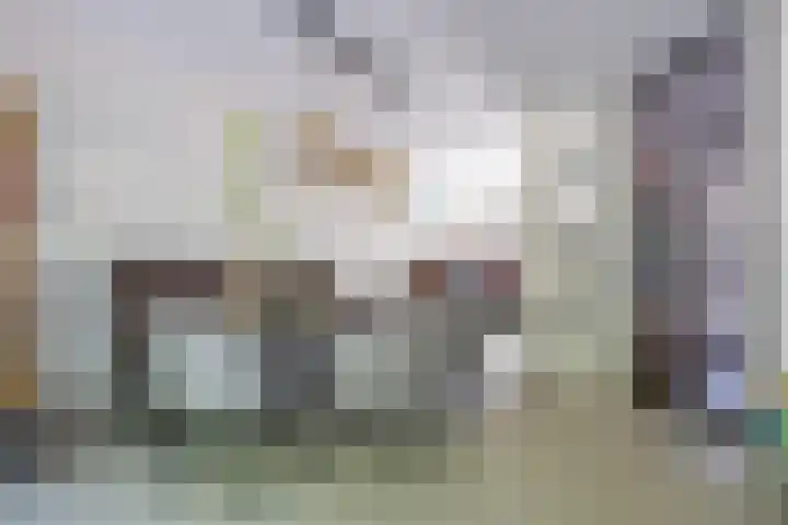 Cacaomolen 10 Koog aan de Zaan thumbnail 6