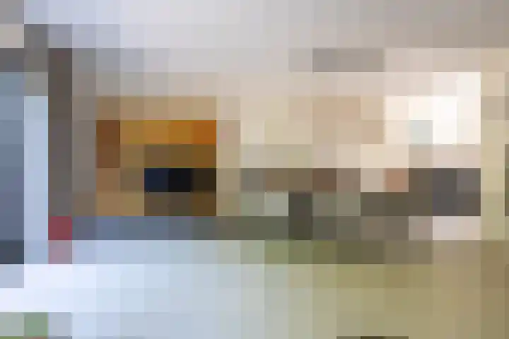 Cacaomolen 10 Koog aan de Zaan thumbnail 7